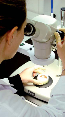 Microscope