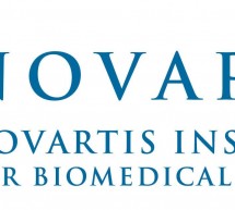 Novartis : bénéfice en hausse de 4%