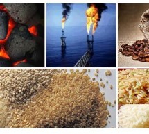 Interview : The Commodity Trading Market & Job Opportunities