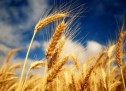 Commodity Trading Industry needs to learn lessons from the banking sector