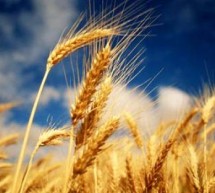 Commodity Trading Industry needs to learn lessons from the banking sector