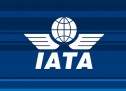 Airline industry group raises profitability forecast for 2013